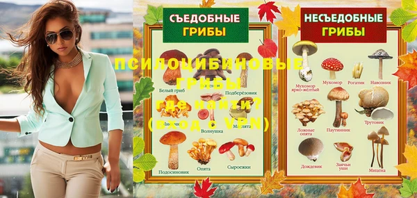 2c-b Ладушкин