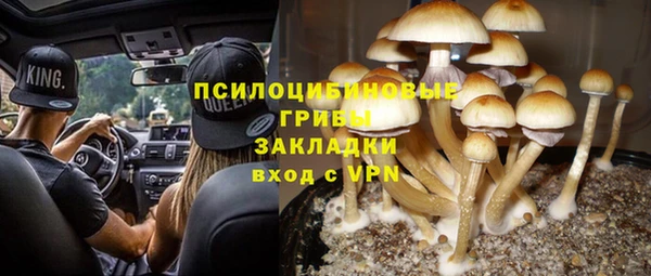 а пвп мука Куйбышев